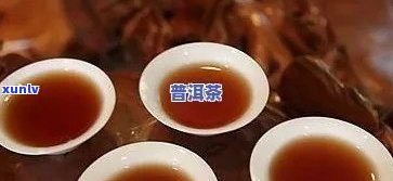 普洱茶能加人参吗？为什么不能？