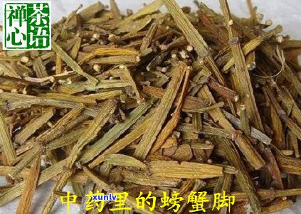 螃蟹脚普洱茶价格表：特点、收藏价值与功效作用分析