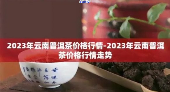 无量山普洱生茶：特点、档次、口感和2023年饼茶价格全面解析