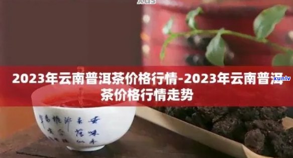 无量山普洱生茶：特点、档次、口感和2023年饼茶价格全面解析