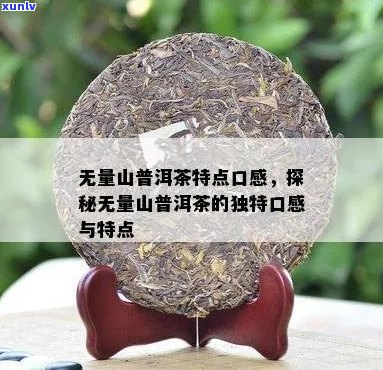 无量山普洱茶：独特魅力、口感特点及品饮技巧全面解析