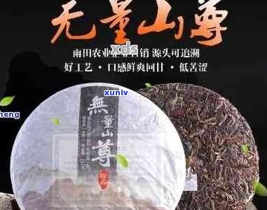 澜沧江无量山普洱茶