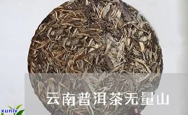 澜沧江无量山普洱茶