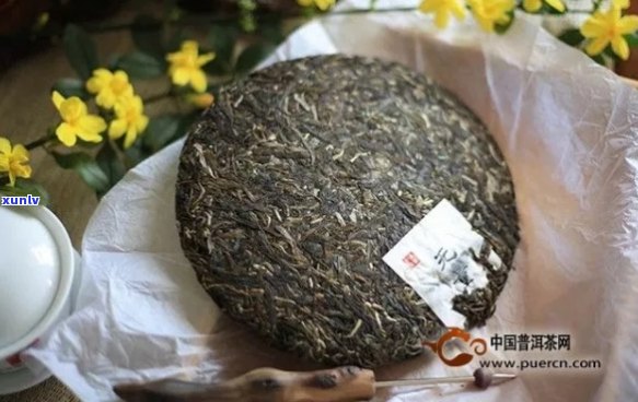 澜沧江无量山普洱茶