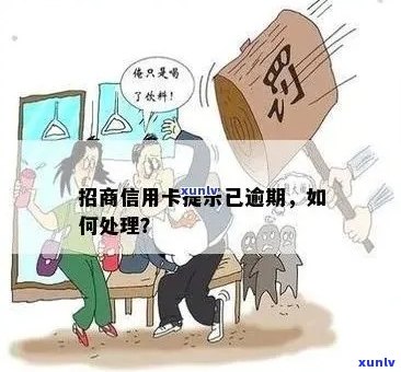 信用卡逾期后如何应对？招商信用卡逾期中介解决方案全面解析