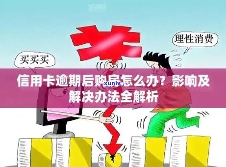 信用卡逾期买不了房子怎么才能解决？