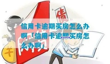 信用卡逾期买不了房子