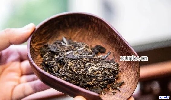 探究普洱茶的香气魅力：摇香是否必要及其理由，以及品饮技巧与误区解析