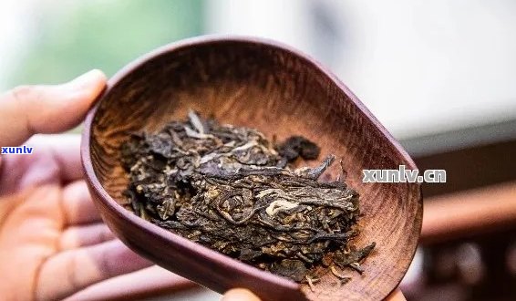 喝普洱茶需要摇香吗-喝普洱茶需要摇香吗为什么