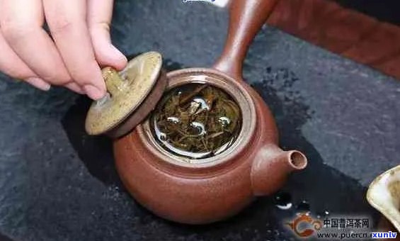 喝普洱茶需要摇香吗