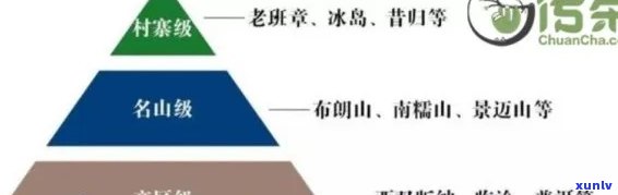 全面解析高端普洱茶的价格构成、品质及购买建议，助你轻松选购高品质普洱茶