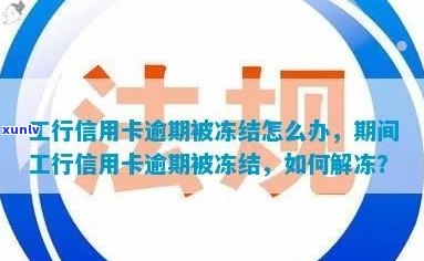 工商行信用卡逾期：3个月起诉、冻结解封及分期政策全解析