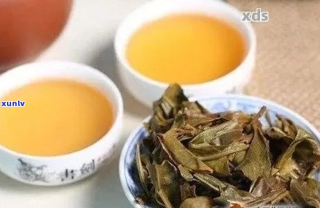 生普洱茶的全面解析：功效、作用、副作用与禁忌，以及如何正确饮用