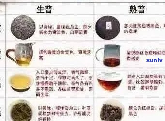 探究生普洱茶的药理作用与饮用禁忌：你的健饮品了解多少？