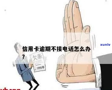 信用卡逾期 ***  *** 未接怎么办，接到 *** 却未欠款，如何处理？