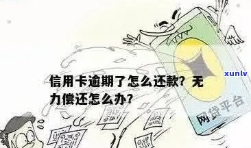 信用卡逾期实在无力偿还