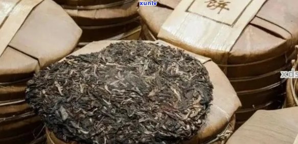 '糯香味最浓的普洱茶是哪种：探究最浓糯香味的普洱茶品种'