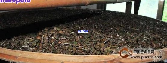 有糯香的普洱茶是什么茶，有哪些种类， ***  *** 以及茶叶碎的信息。