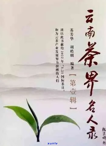 普洱茶界的名人堂：探索知名人士与普洱茶的故事