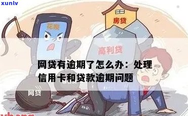 如何解决信用卡逾期后申请网贷的问题？