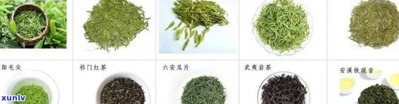 国人喜欢的茶叶品种及：探究国茶文化