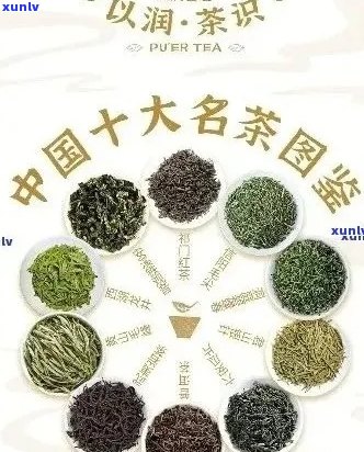 国人喜欢的茶叶品种及：探究国茶文化