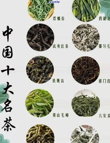 国人喜欢的茶叶品种及：探究国茶文化