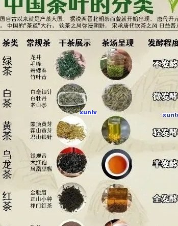 国人喜欢的茶叶品种及：探究国茶文化