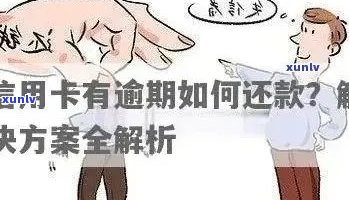 警惕信用卡还款逾期陷阱：电信诈骗手法分析与防范