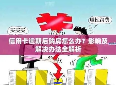 逾期还款对购房按揭信用卡的影响及解决办法，全面解答你的疑虑