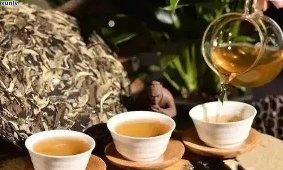 什么人可以买普洱茶叶喝？适合和不适合普洱茶的人群分别有哪些？