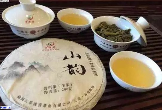 什么人可以买普洱茶叶喝？适合和不适合普洱茶的人群分别有哪些？