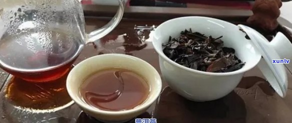 普洱茶爱好者的入门指南：揭示适合品尝普洱茶的人群特征