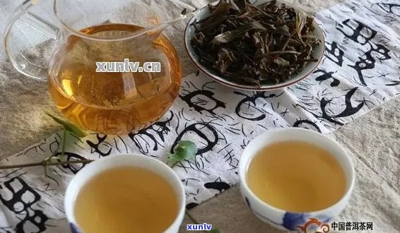 普洱茶的饮用禁忌与适应人群：哪些人不适合喝普洱茶？