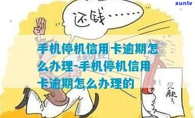 信用卡逾期后手机停机怎么办？如何避免信用损失？