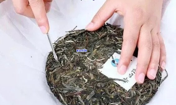 如何将普洱茶饼分散化：有效 *** 与技巧