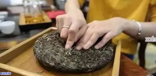 普洱茶饼分散技巧：如何实现完美冲泡与品尝体验