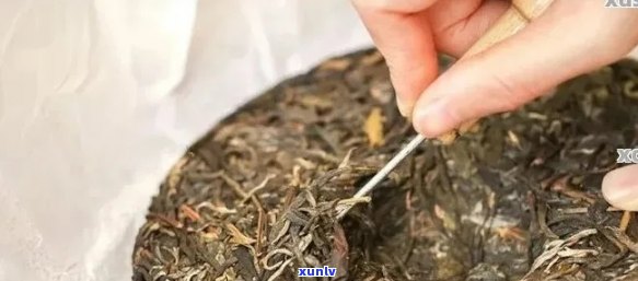 普洱茶饼分散技巧：如何实现完美冲泡与品尝体验