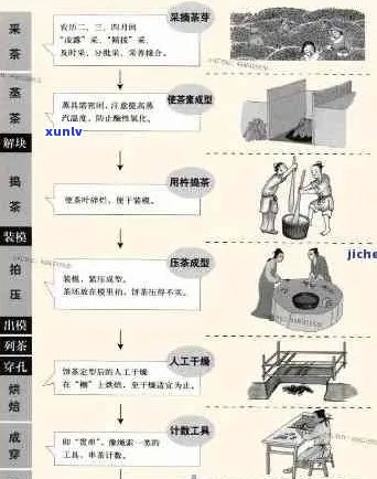 深入了解普洱茶饼 *** 工艺及如何巧妙地分开它们：一份全面的指南