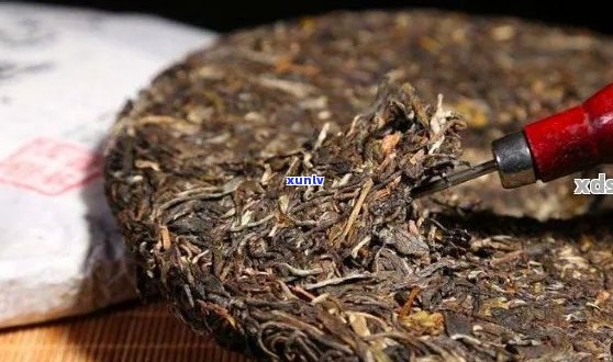 新 普洱茶饼的品饮与解构：一种全方位的理解方式