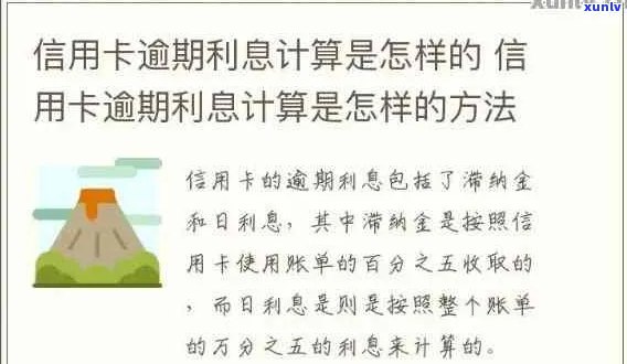 信用卡逾期利息算法：规则、计算 *** 与影响因素