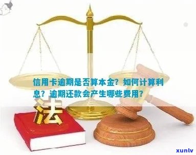 信用卡逾期利息：算作本金还是额外费用？