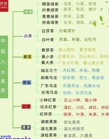 普洱茶四大产区及主要茶叶品种详解：了解各地特色茶品