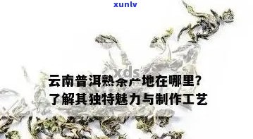 云南特色茶叶普洱茶的全面解析：产地、品种、 *** 工艺及健益处