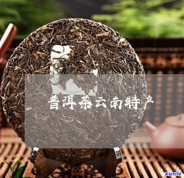 云南特产有普洱茶吗