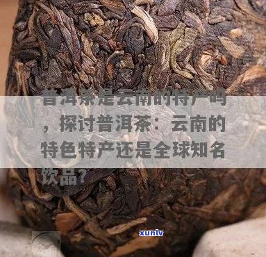 云南特产有普洱茶吗