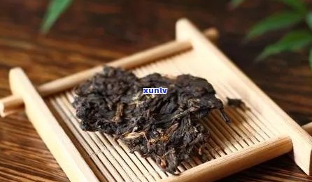 枣香普洱茶的口感特征：全面解析与品鉴技巧