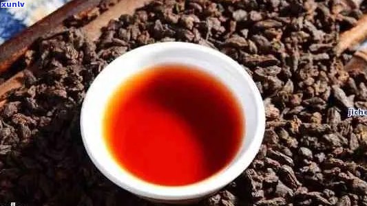 枣香普洱茶的口感特征：全面解析与品鉴技巧