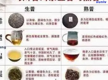 普洱熟茶品鉴指南：详细价格表与选购技巧