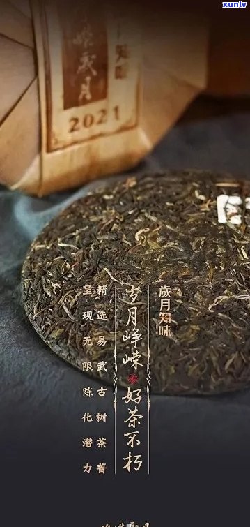 岁月知味普洱生茶：优质产品与价格解析，哪款口感更佳？